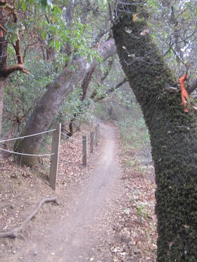 The short, narrow descent