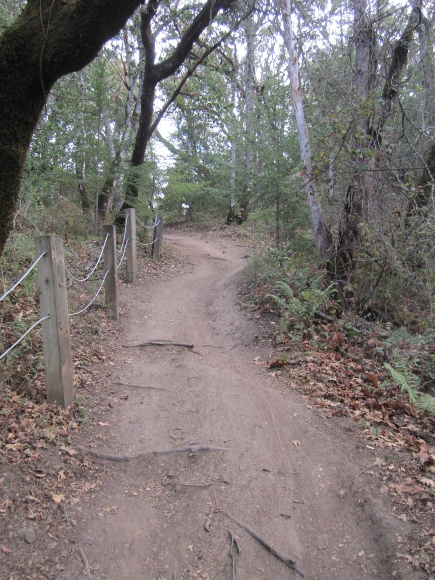 Steep. If you are not careful, your front wheel will lift off the ground.